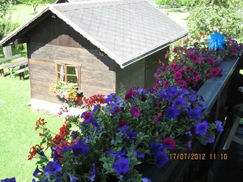 Hostal G�stehaus Holzfeind