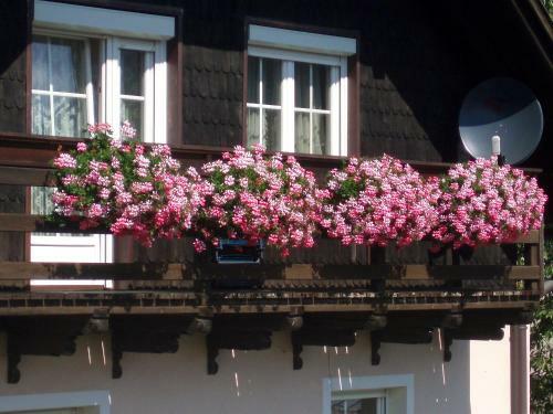 Apartamento Haus G�hringer / Ferienwohnungen
