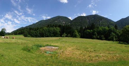 Apartamento Haus Berchtold