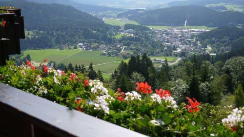 Panoramahotel Hauserhof