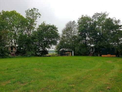 Tree Houses
