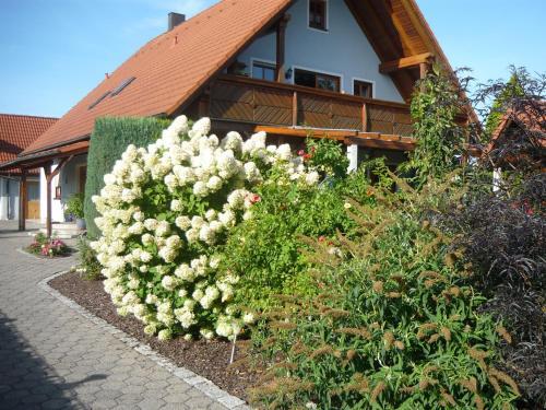 Apartamento Ferienwohnung Schwarz