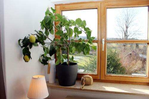 Apartamento Ultra Alpes Luitpold
