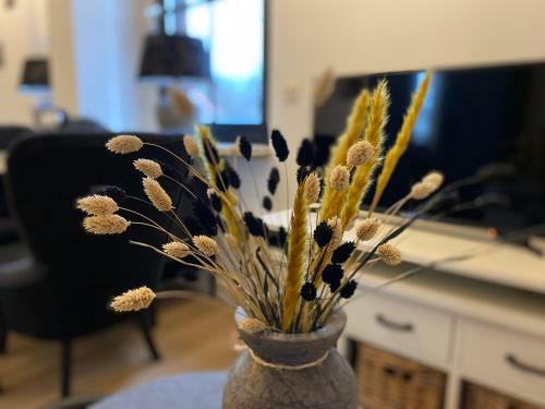 Schaap8 Bed En Breakfast