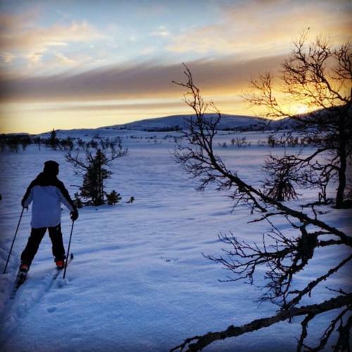 Idyllic New Cabin With Great Views And Fantastic Location In Trysil