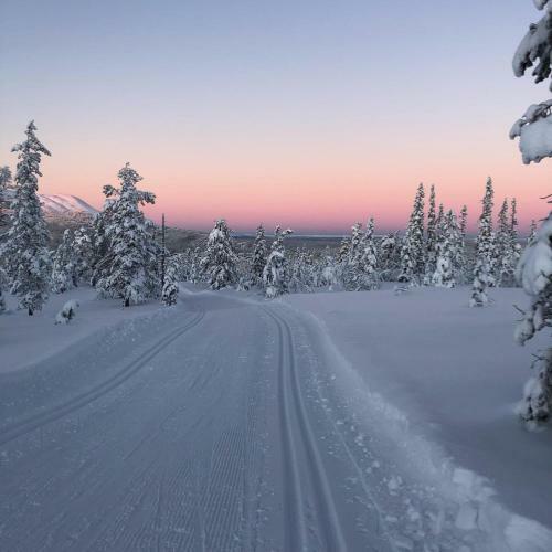 Idyllic New Cabin With Great Views And Fantastic Location In Trysil