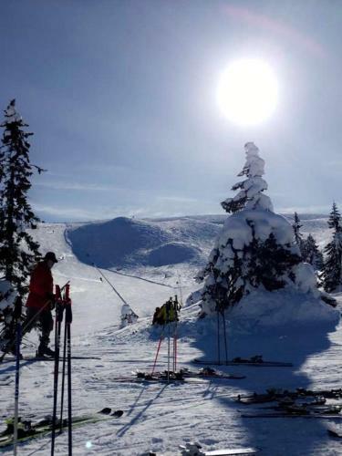 Idyllic New Cabin With Great Views And Fantastic Location In Trysil