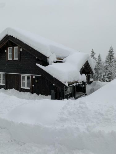 Idyllic New Cabin With Great Views And Fantastic Location In Trysil