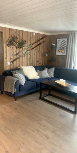 Idyllic New Cabin With Great Views And Fantastic Location In Trysil