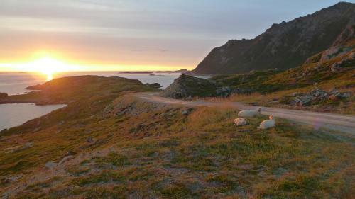 Apartment For Holiday In Nyksund