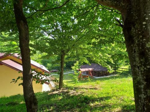 Villa Pensiunea Cet??ica