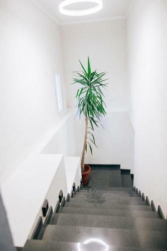 Neva Apartments