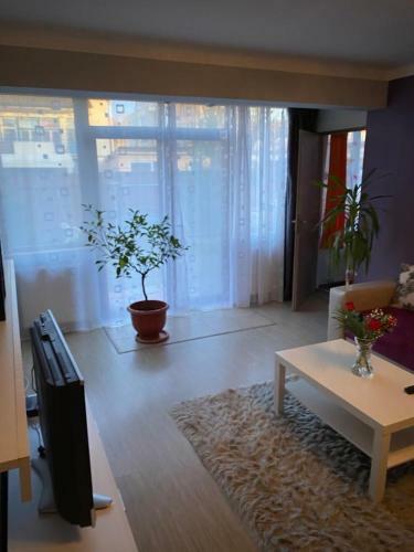 Apartamento Oasis House
