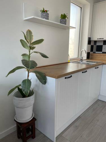 Apartament Dziewi?tka