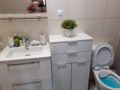 Sara Apartman