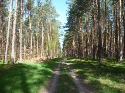 Apartamento Ferienwohnung Ostseewald