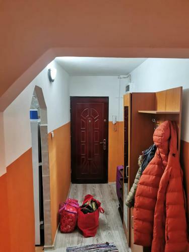 Apartament Dreea Lupeni