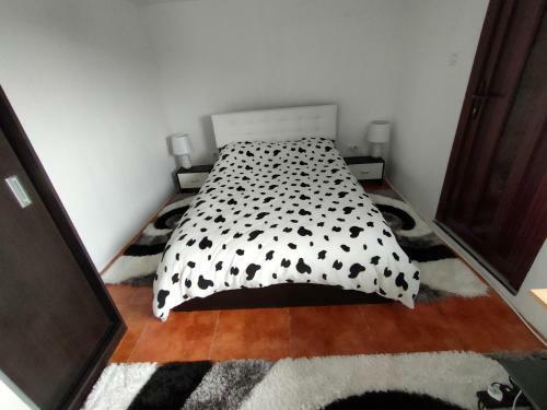 Hostal Pensiunea Duboveanu