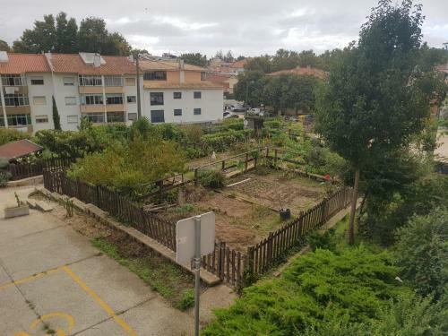 Pinewood Apartment