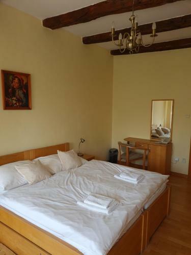 Hotel Andri?ov Dom Penzion
