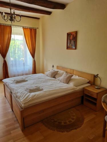 Hotel Andri?ov Dom Penzion