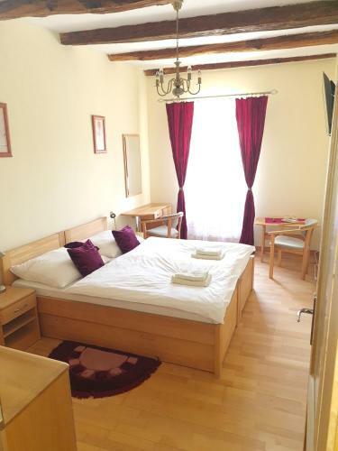 Hotel Andri?ov Dom Penzion