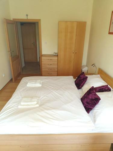 Hotel Andri?ov Dom Penzion