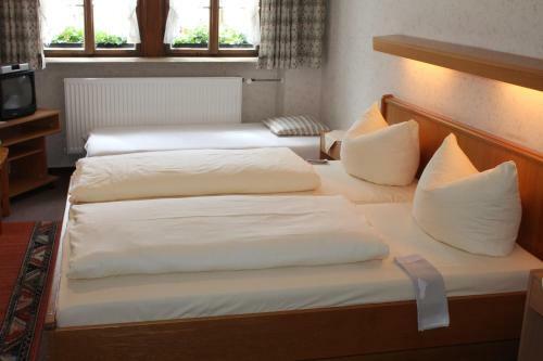 Hostal Gasthof Butz