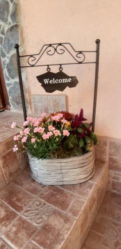 Apartm�n Anna