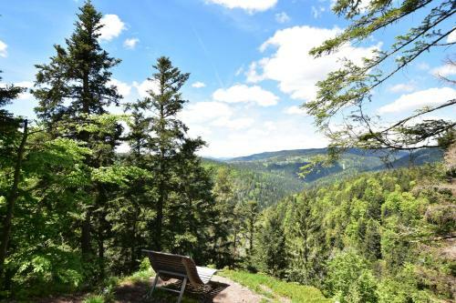 Apartamento Ferienwohnung Seeblick Nr 1, 3 Zi-b�rental, Feldberg