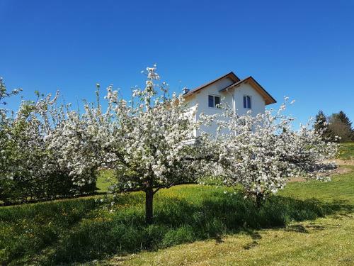 Apartamento Ferienwohnung B�hlingen