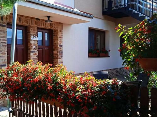 Apartm�n R�zsika