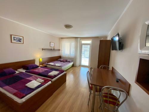 Hostal Apartm�nov� Dom Fl�ra