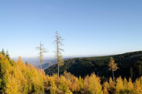 Apartamento Ferienwohnung Bodetal