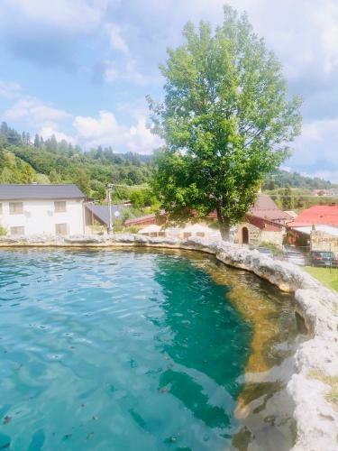 Hostal Penzi�n Bach