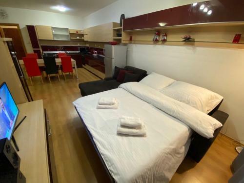 Apartm�n Ve?k� Lomnica B8
