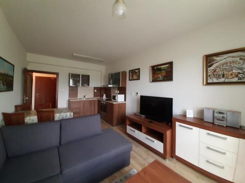 Apartm�n Ve?k� Lomnica B11