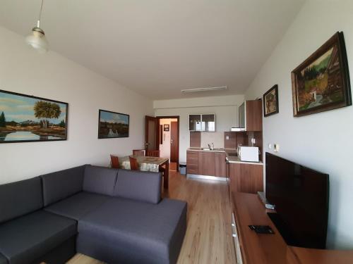 Apartm�n Ve?k� Lomnica B11