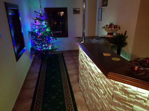 Hostal Penzi�n-villa ?ur?�k