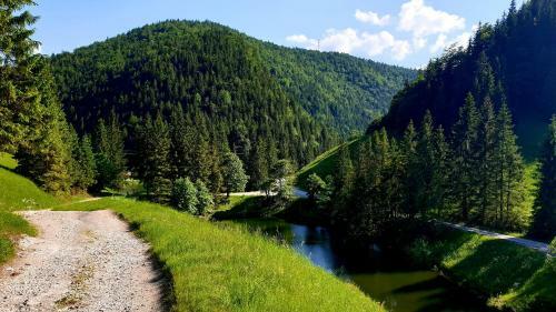 Apartm�ny Mlynky - Slovensk� Raj
