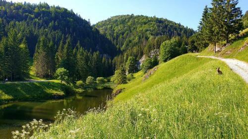 Apartm�ny Mlynky - Slovensk� Raj