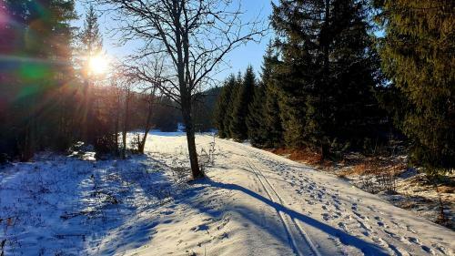Apartm�ny Mlynky - Slovensk� Raj