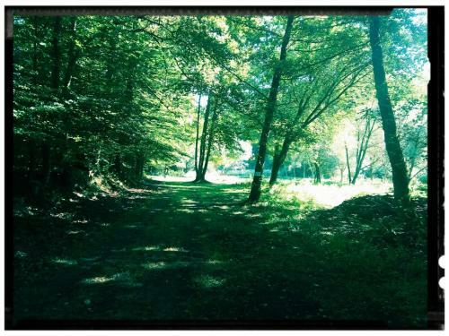 Sabine's Wellnesslodge
