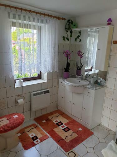 Apartamento Ferienhaus Scheffler