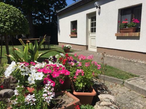 Apartamento Ferienhaus Baumann