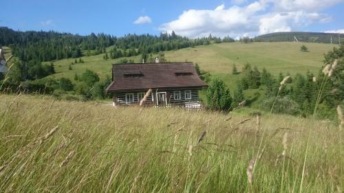 Drevenica Goralsk� Dvor