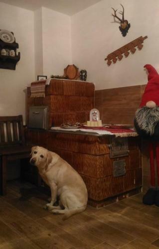 Lodge Chal�pka V ?diari