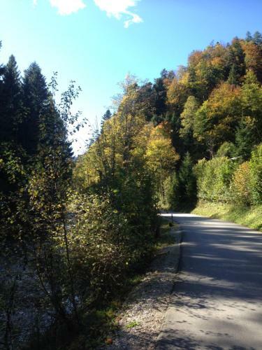 Ferienh�tte In Ruhpolding