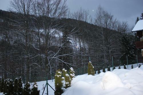 Apartm�n Essi T�le- Chopok