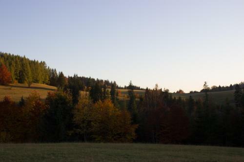 Apartm�n Essi T�le- Chopok